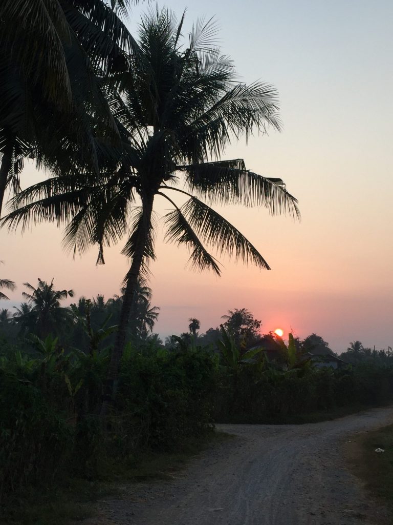 Auringonlasku näkyy palmujen takaa.