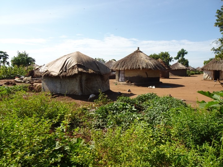 Ugandalaisia, olkikattoisia taloja.
